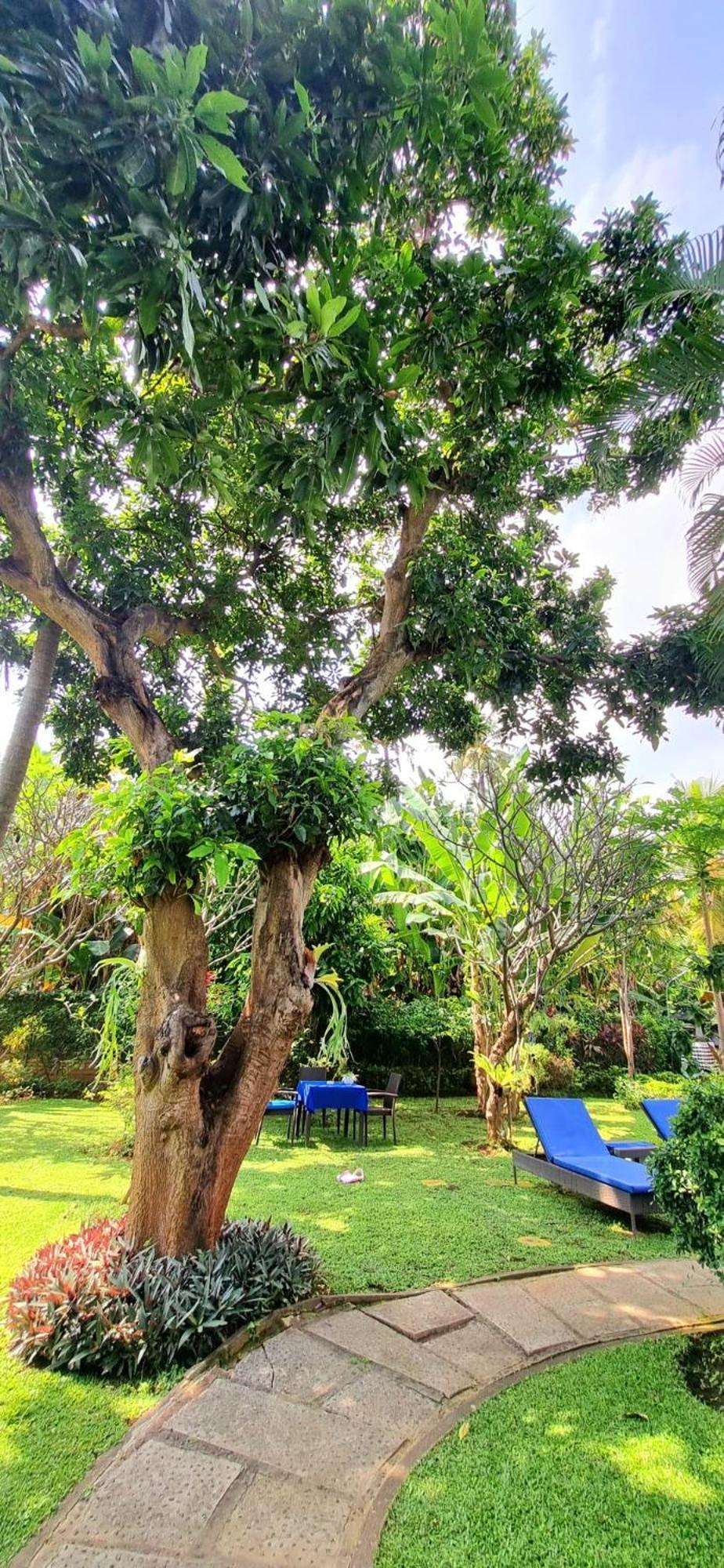 Balinda Rooms & Villa 러비나 객실 사진